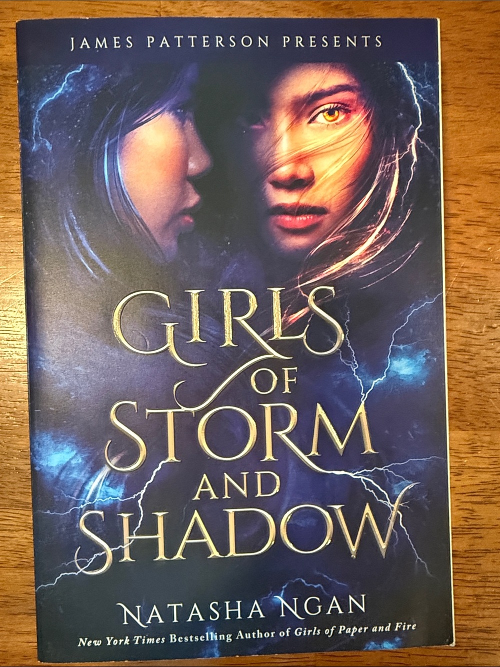 Girls of Storm and Shadow by Natasha Ngan - Dark Blue & Gold Cover